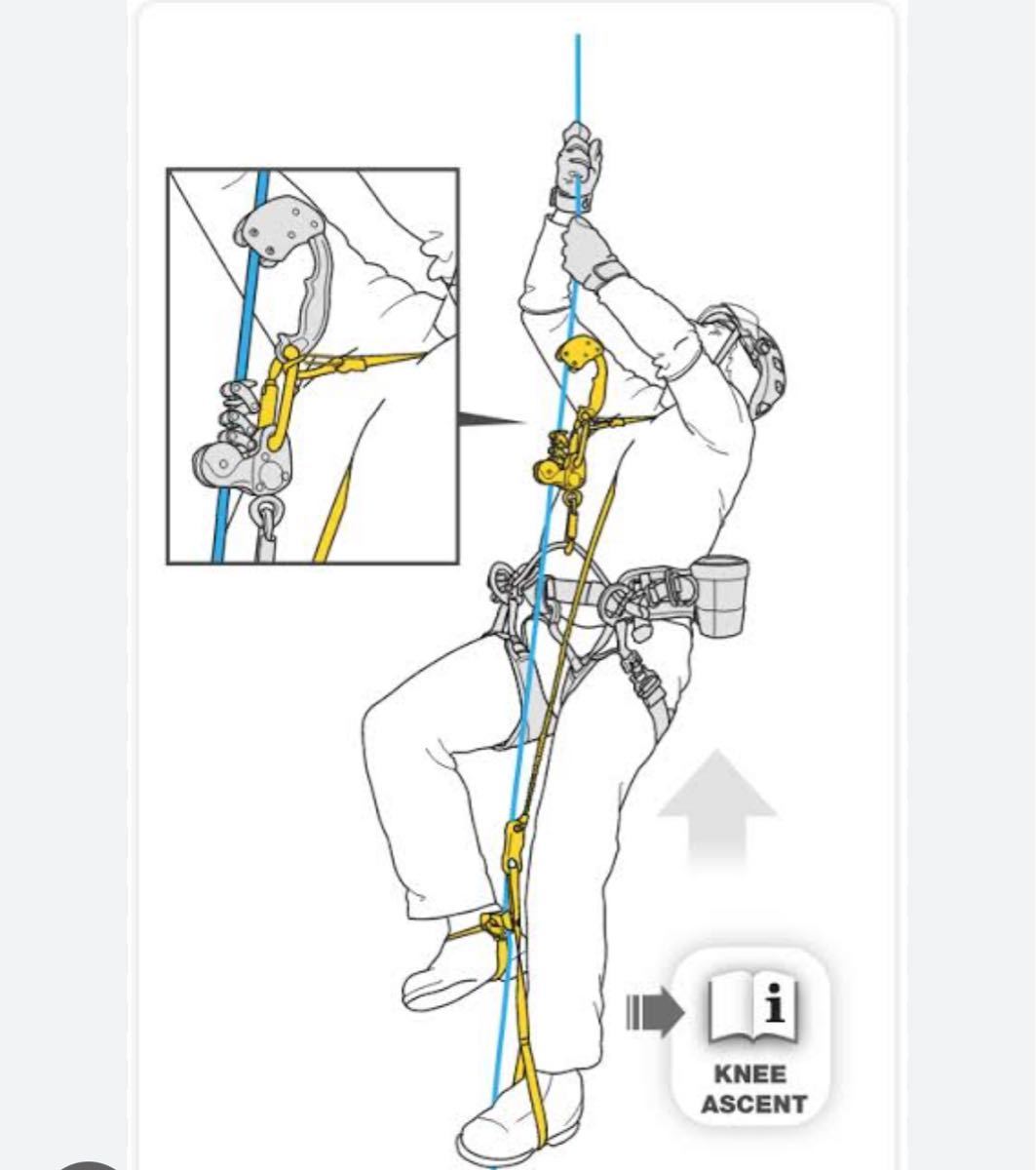 petzl ニーアッセント　セット　アーボリスト　ツリークライミング　造園　ツリーワーカー　林業　クライミング_画像3