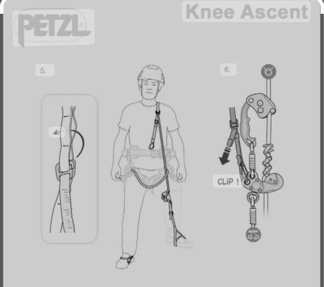 petzl ニーアッセント　セット　アーボリスト　ツリークライミング　造園　ツリーワーカー　林業　クライミング_画像4