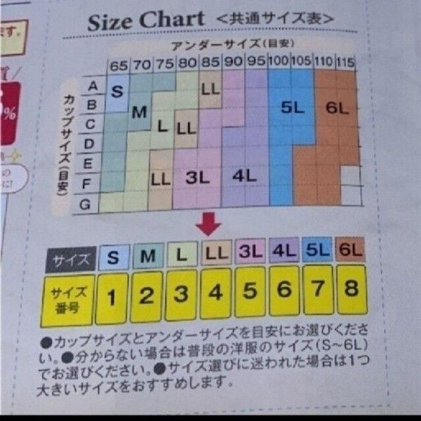 新品　ジニエブラエアー　3L