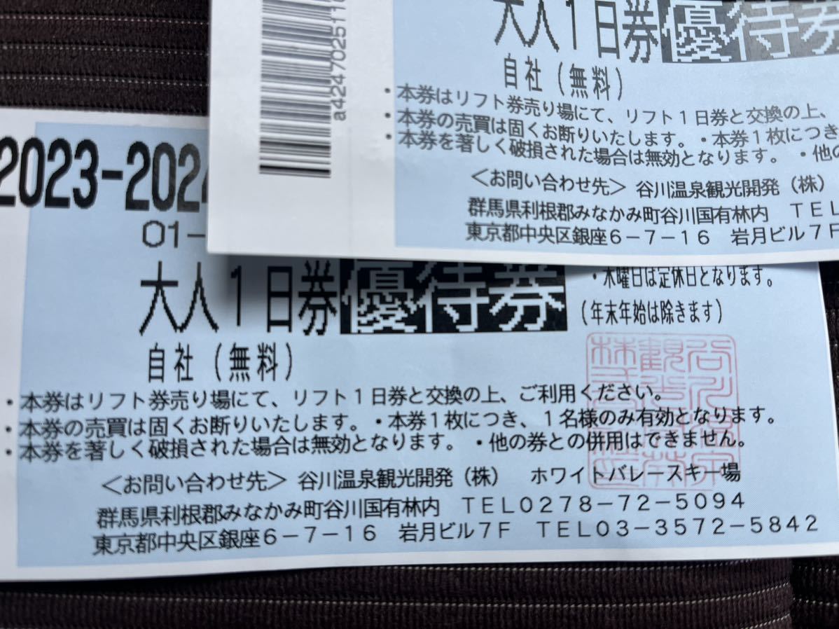 ホワイトバレースキー場　大人2枚　1日券2023〜2024 水上_画像2