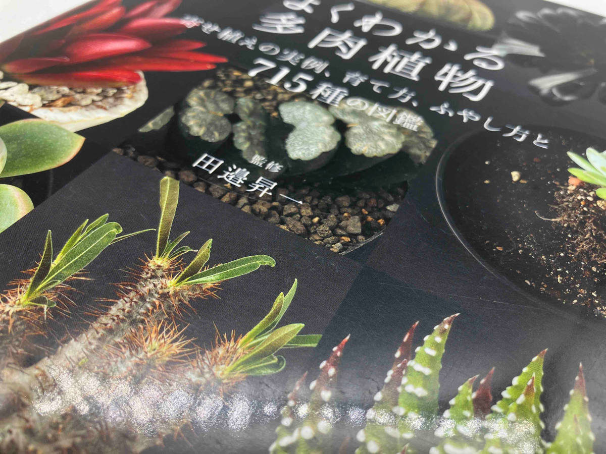 よくわかる多肉植物-寄せ植えの実例、育て方、ふやし方と715種の図鑑- / 著:田邉昇一 店舗受取可_画像7