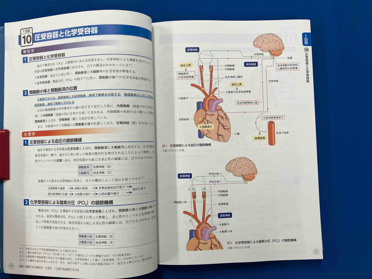 解剖学・生理学 7日間で総復習できる本 町田志樹_画像5