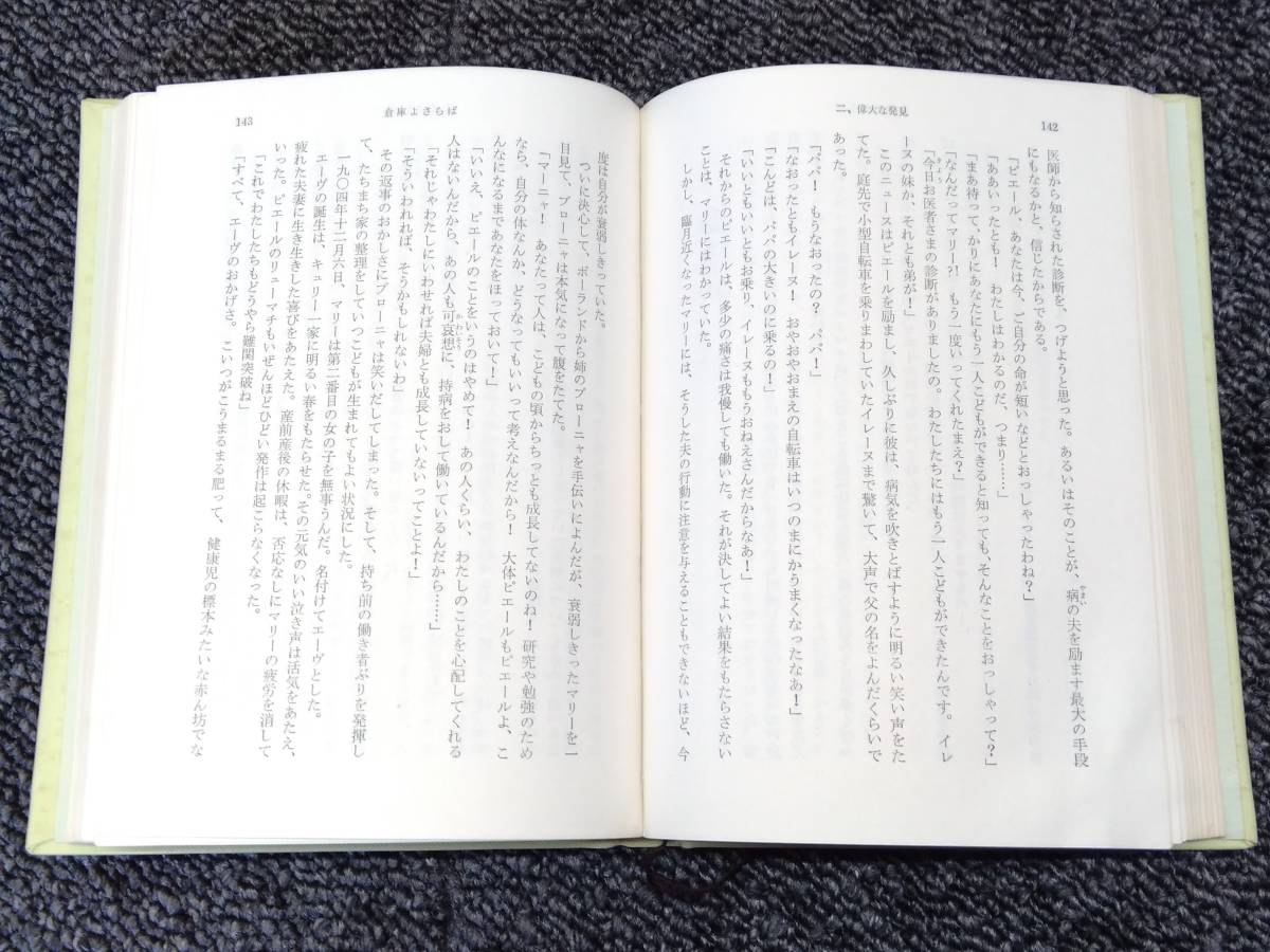 鴨BY9 旺文社文庫 [特製版] まとめ売り87冊セット 罪と罰/ハムレット/ファウスト/キュリー夫人/夏目漱石/シェイクスピア/ゲーテ 他_画像9