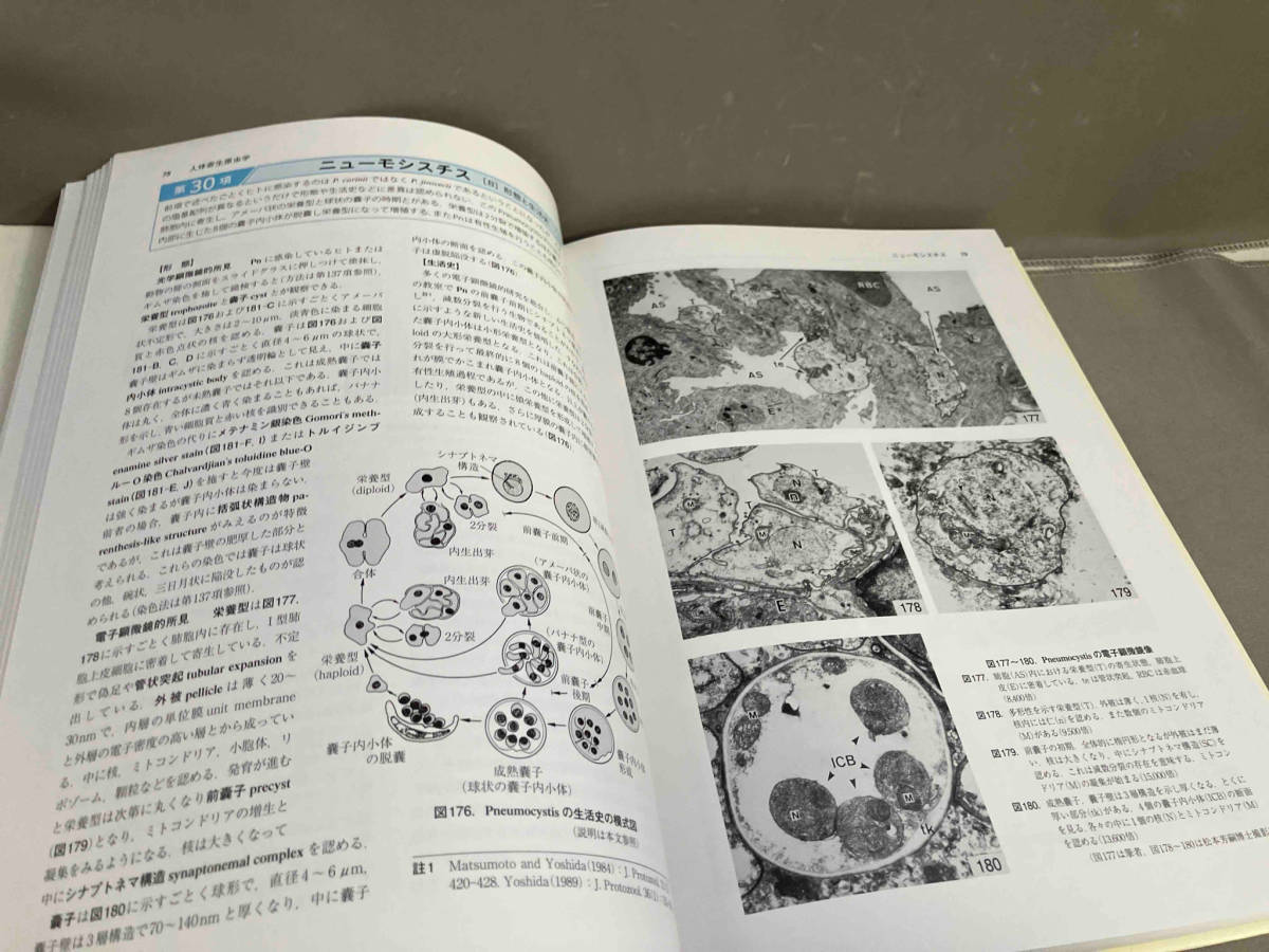 図説人体寄生虫学 改訂第9版 吉田幸雄　2016年発行_画像6