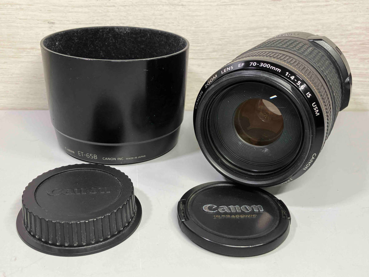 Canon EF 70-300mm 1:4-5.6 IS USM 0345B001 交換レンズ_画像1