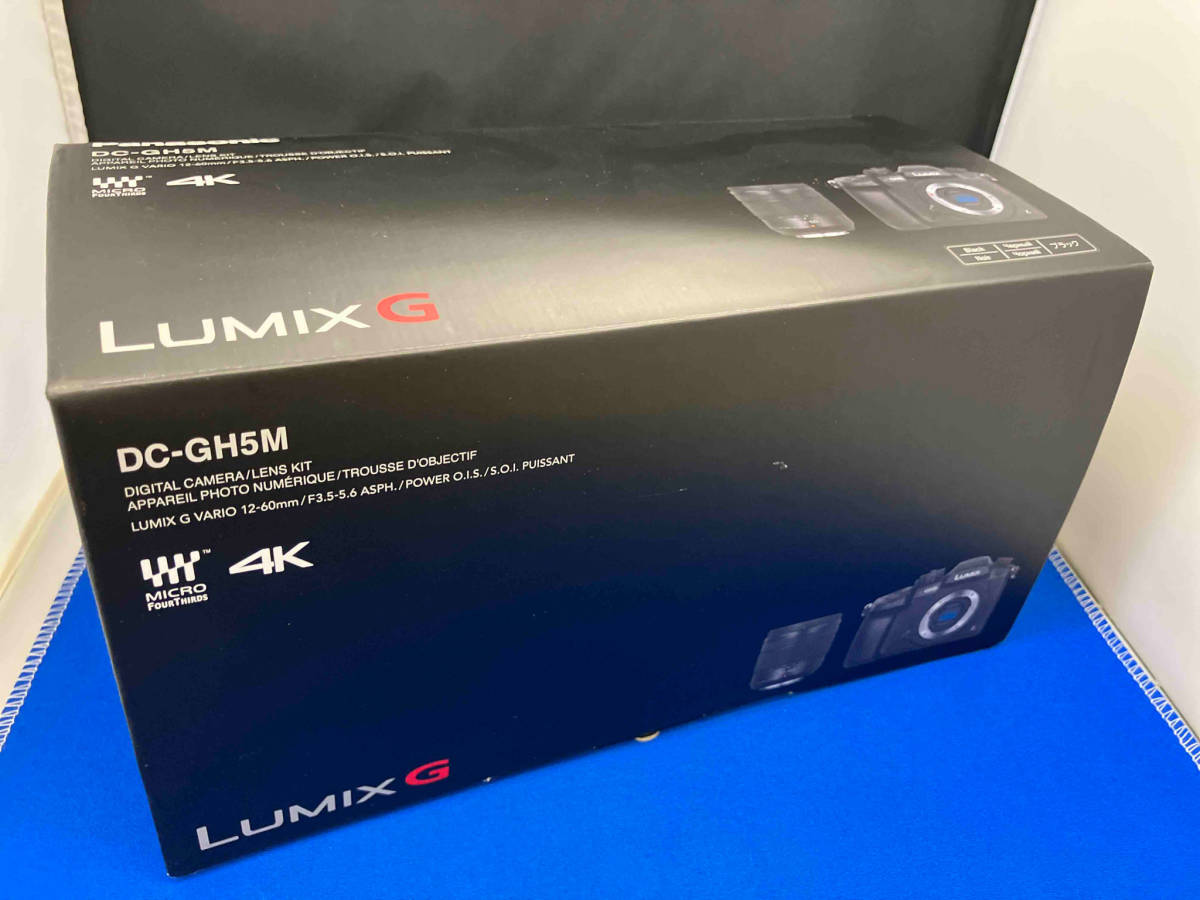 Panasonic DC-GH5M LUMIX DC-GH5 標準ズームレンズキット(G VARIO 1:3.5-5.6/12-60 ASPH. φ58 POWER O.I.S.) デジタル一眼の画像1