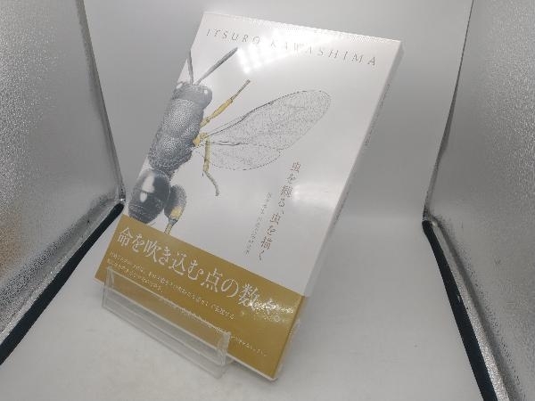 虫を観る、虫を描く 川島逸郎_画像1