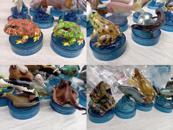 海洋堂 新江ノ島水族館 限定フィギュアなど まとめ売り_画像8