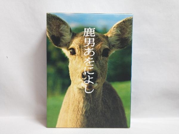 DVD 鹿男あをによし DVD-BOX ディレクターズ・カット完全版_画像1