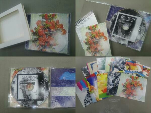 GRAPEVINE CD ROADSIDE PROPHET(20th Anniversary Limited Edition)(初回限定盤)(DVD付)の画像4