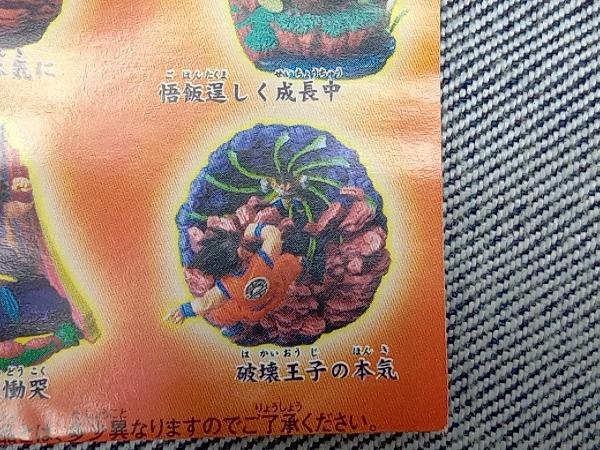 メガハウス ドラゴンボールZ ドラゴンボールカプセル 激闘・宇宙一の強戦士 サイヤ人編 破壊王子の本気 リュウシンチュウ(27-16-19)_画像5