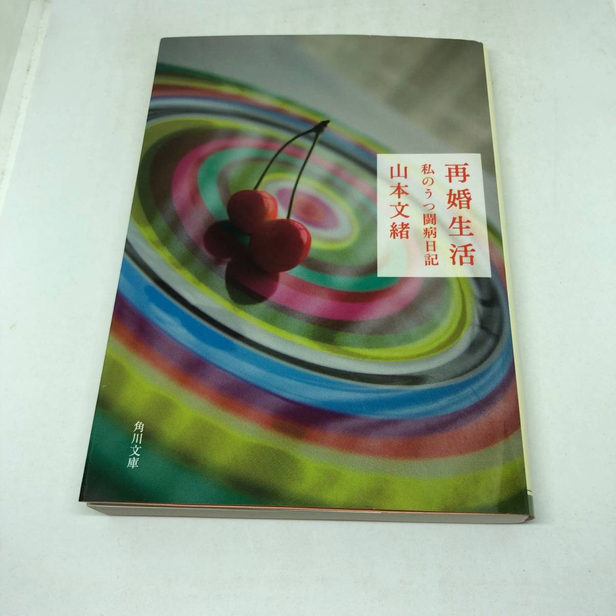 再婚生活 私のうつ闘病日記 (角川文庫) 文庫 2009/10/24 山本 文緒 (著)