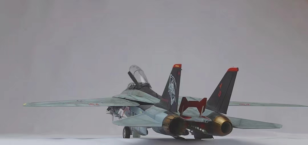 1/48 America navy F-14D Tomcat painted final product 