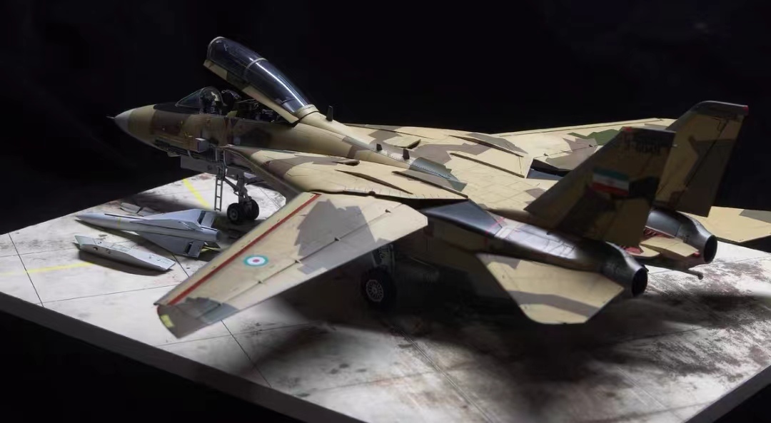 1/48 イラン空軍 F-14A トムキャット 塗装済完成品_画像3