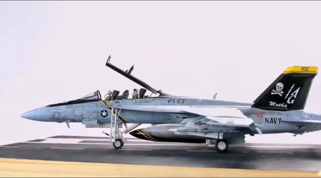 1/48 アメリカ海軍 F/A-18F スーパーホーネット 組立塗装済完成品