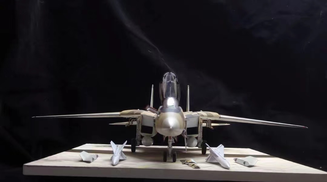 1/48 イラン空軍 F-14A トムキャット 塗装済完成品_画像4