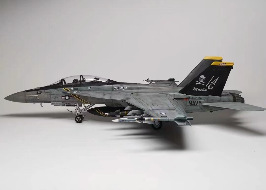 1/48 アメリカ F/A-18F スーパーホーネット 組立塗装済完成品