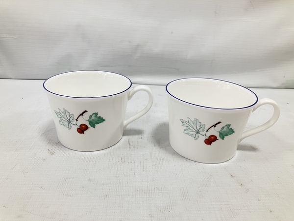 WEDGWOOD ウェッジウッド FRUIT SYMPHONY フルーツシンフォニー カップ&ソーサー 2客 セット 食器 中古 美品 H8497305_画像4