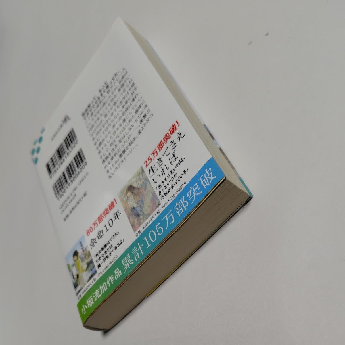 余命１０年 （文芸社文庫ＮＥＯ　こ５－１） 小坂流加／著