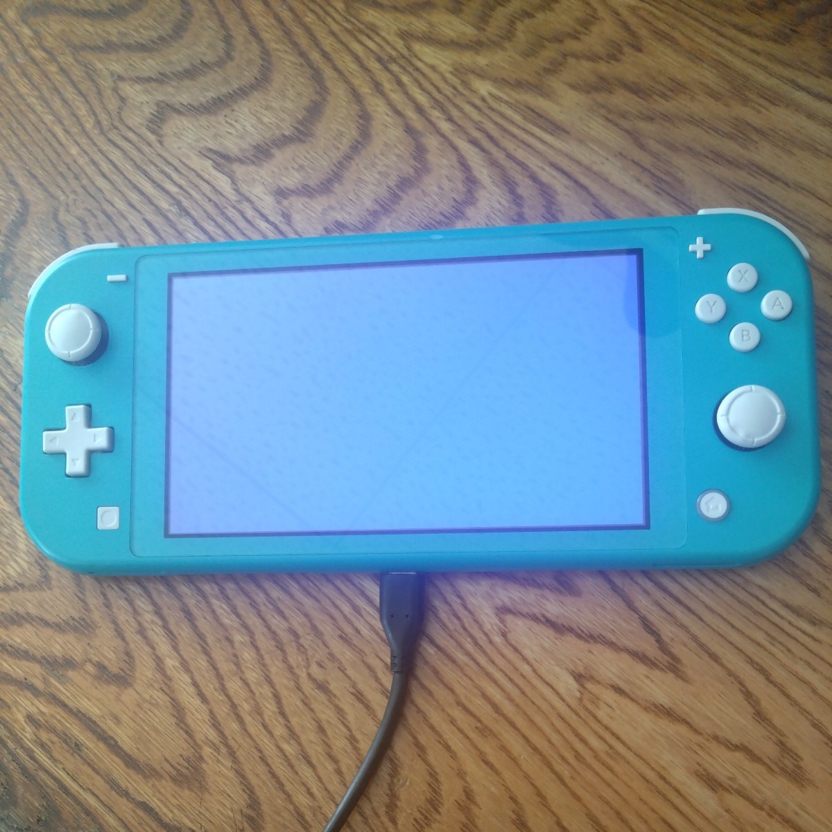 魅力の 【ジャンク品】 Nintendo Switch Lite ターコイズ ニンテンドー