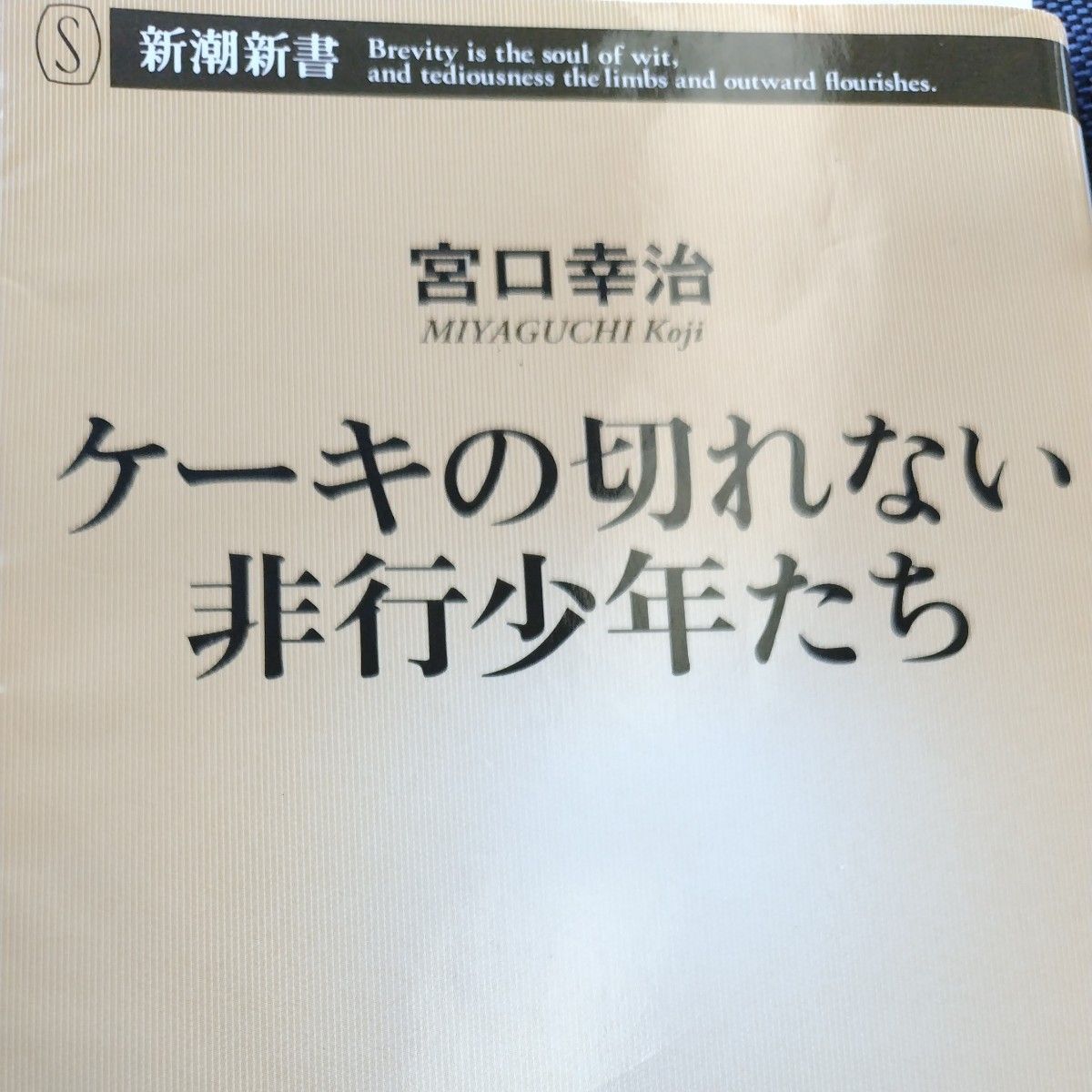 ケーキの切れない非行少年たち （新潮新書　８２０） 宮口幸治／著