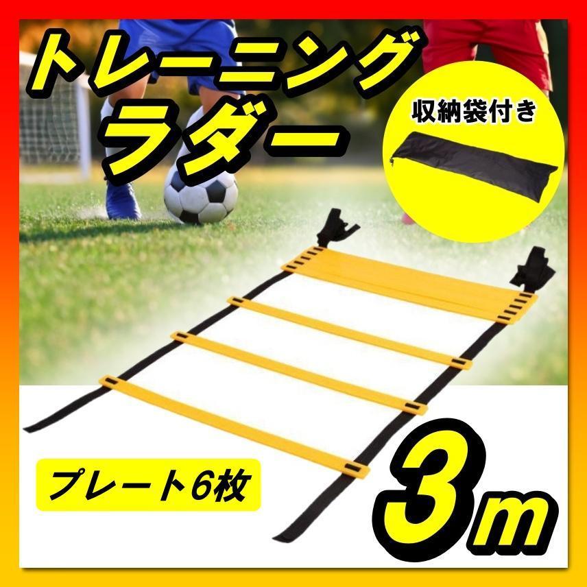 トレーニングラダー ラダー 3m 陸上 サッカー 野球 バスケ フットサル 陸上_画像1