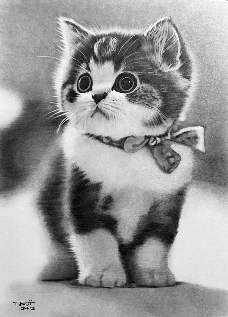 猫 ねこ 手描きイラスト 鉛筆画 A4  No.1