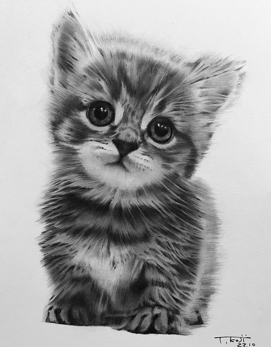 猫 ねこ 手描きイラスト 鉛筆画 A5 No.3 猫 ねこ 手描きイラスト 鉛筆画 A5 No.3