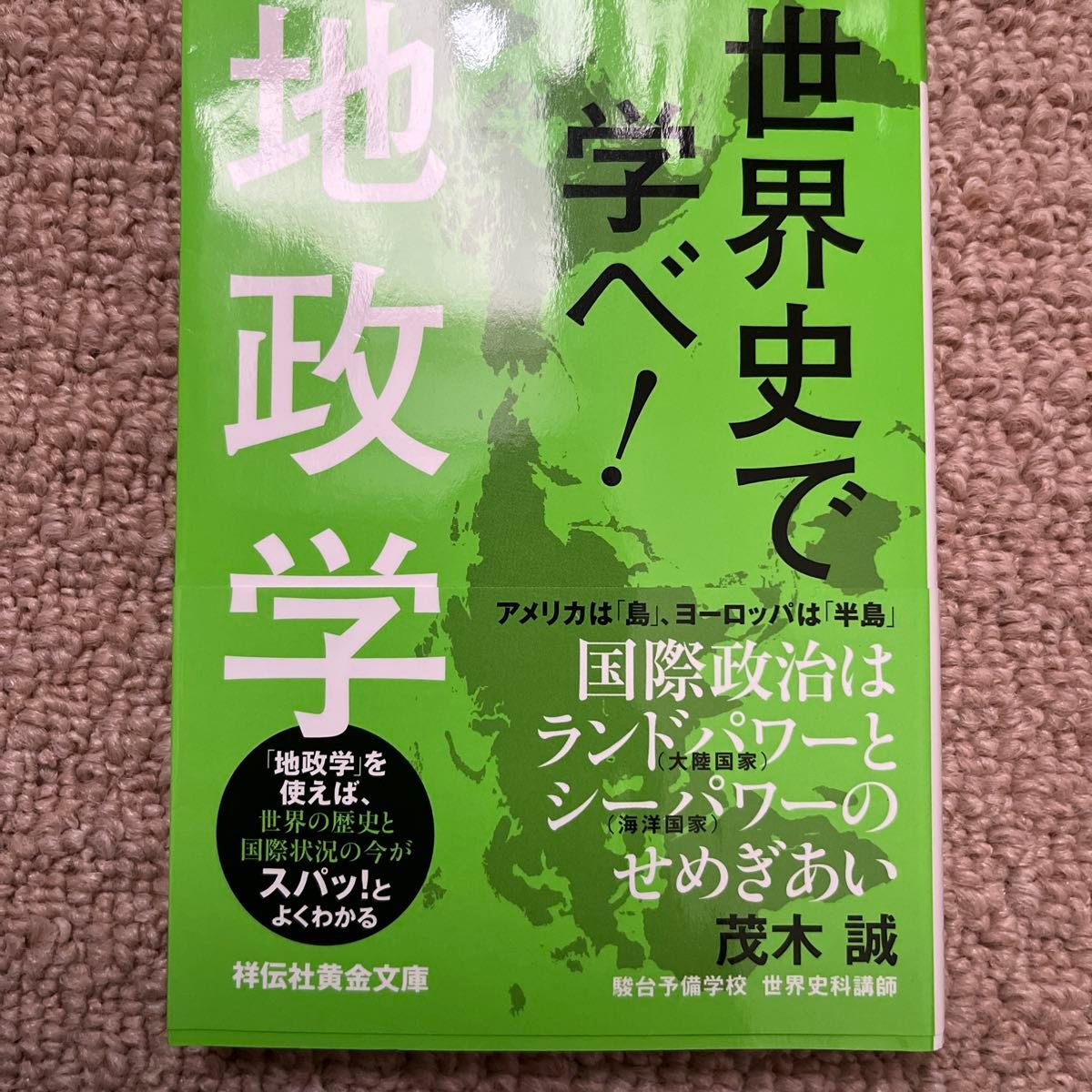 世界史で学べ！地政学 （祥伝社黄金文庫　Ｇも４－１） 茂木誠／著