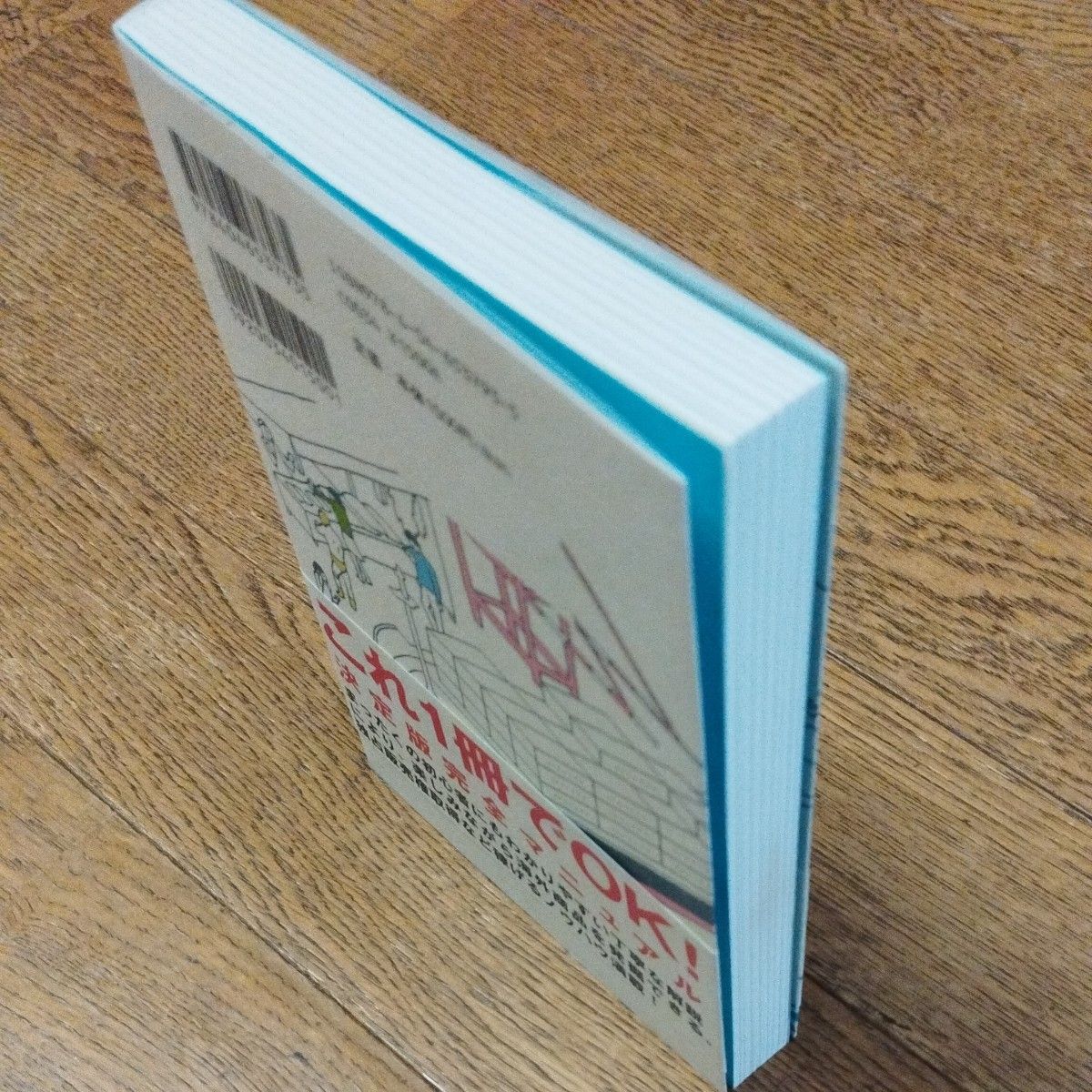 個人ではじめる輸入ビジネス　ホントにカンタン！誰でもできる！ （角川フォレスタ） 大須賀祐／著