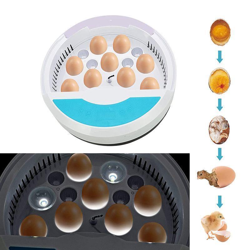  automatic . egg vessel in kyu Beta - go in egg 9 piece birds exclusive use . egg vessel inspection egg light built-in .. vessel chicken egg a Hill child education for automatic temperature control humidity guarantee .