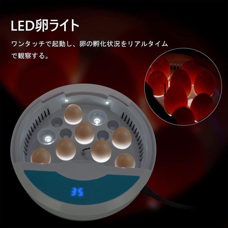  automatic . egg vessel in kyu Beta - go in egg 9 piece birds exclusive use . egg vessel inspection egg light built-in .. vessel chicken egg a Hill child education for automatic temperature control humidity guarantee .