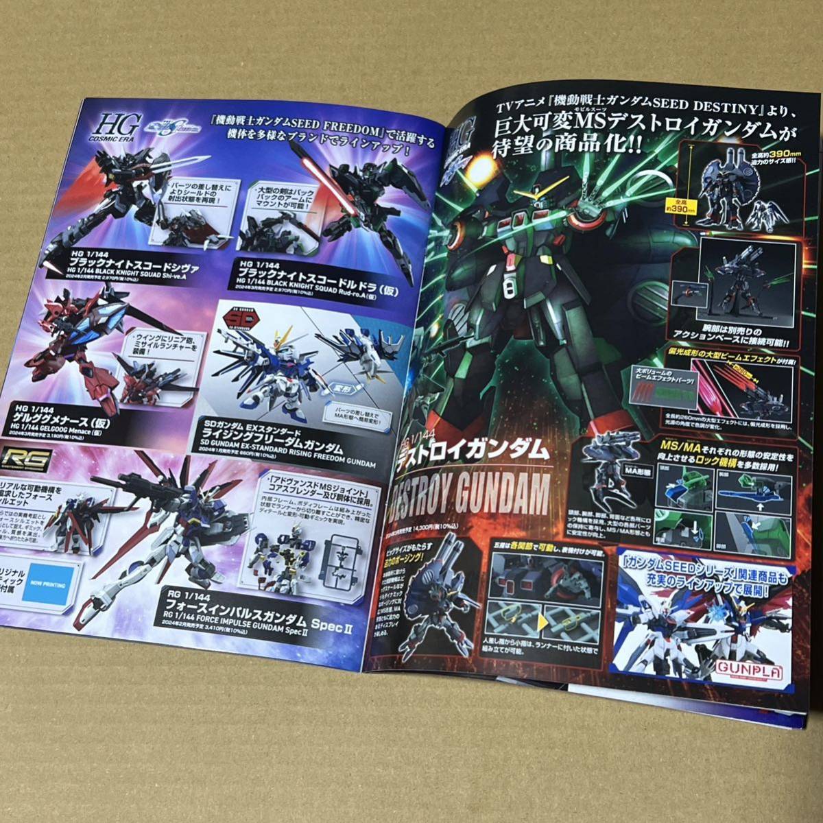 新品★ 劇場版公開記念パッケージ HG ライジングフリーダムガンダム デスティニーガンダム SPECⅡ クリアカラー SEED FREEDOM プレバン_画像10