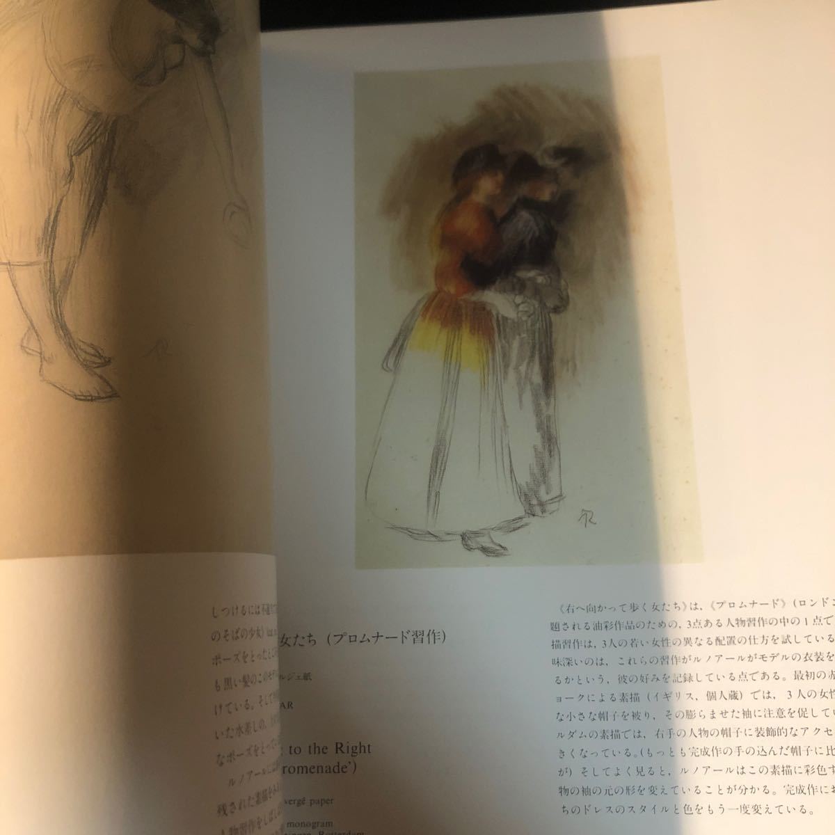 【図録】『ルノアール展』1988／名古屋市美術館／中日新聞社 Gの画像3
