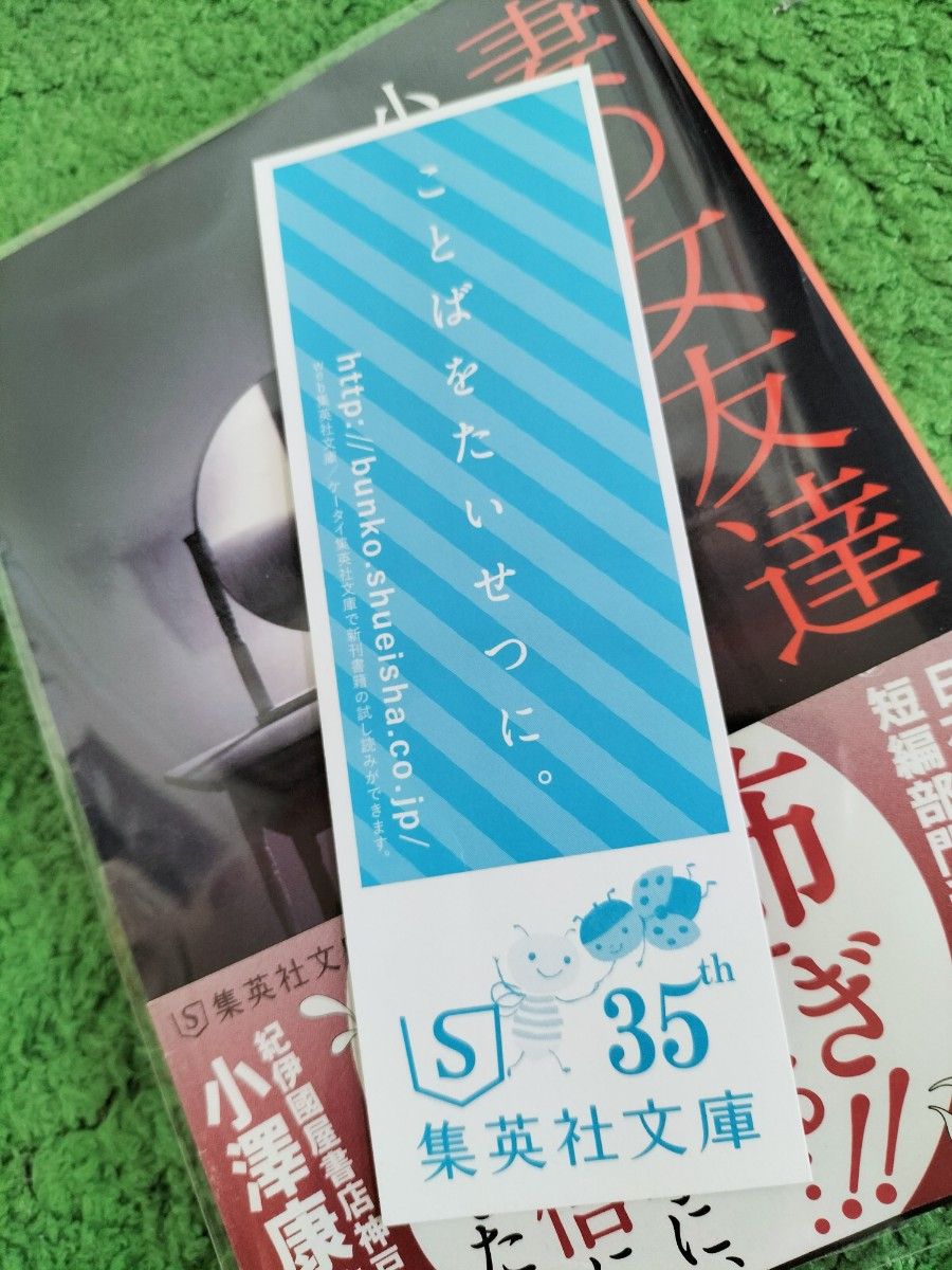 『妻の女友達』　小池真理子　 帯付き　ナイロンカバー装着　送料出品者負担　匿名配送　受賞作品　しおりつき　やや折れあり　 