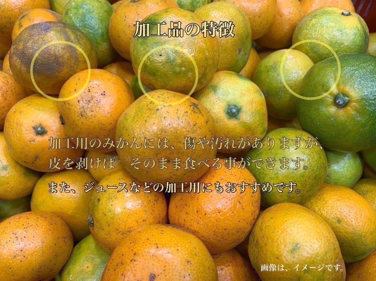 和歌山県産　有田　みかん　家庭用　数量限定　早い者勝ち　セール　特価価格　５キロ　5kg 特価セール　b品_画像2