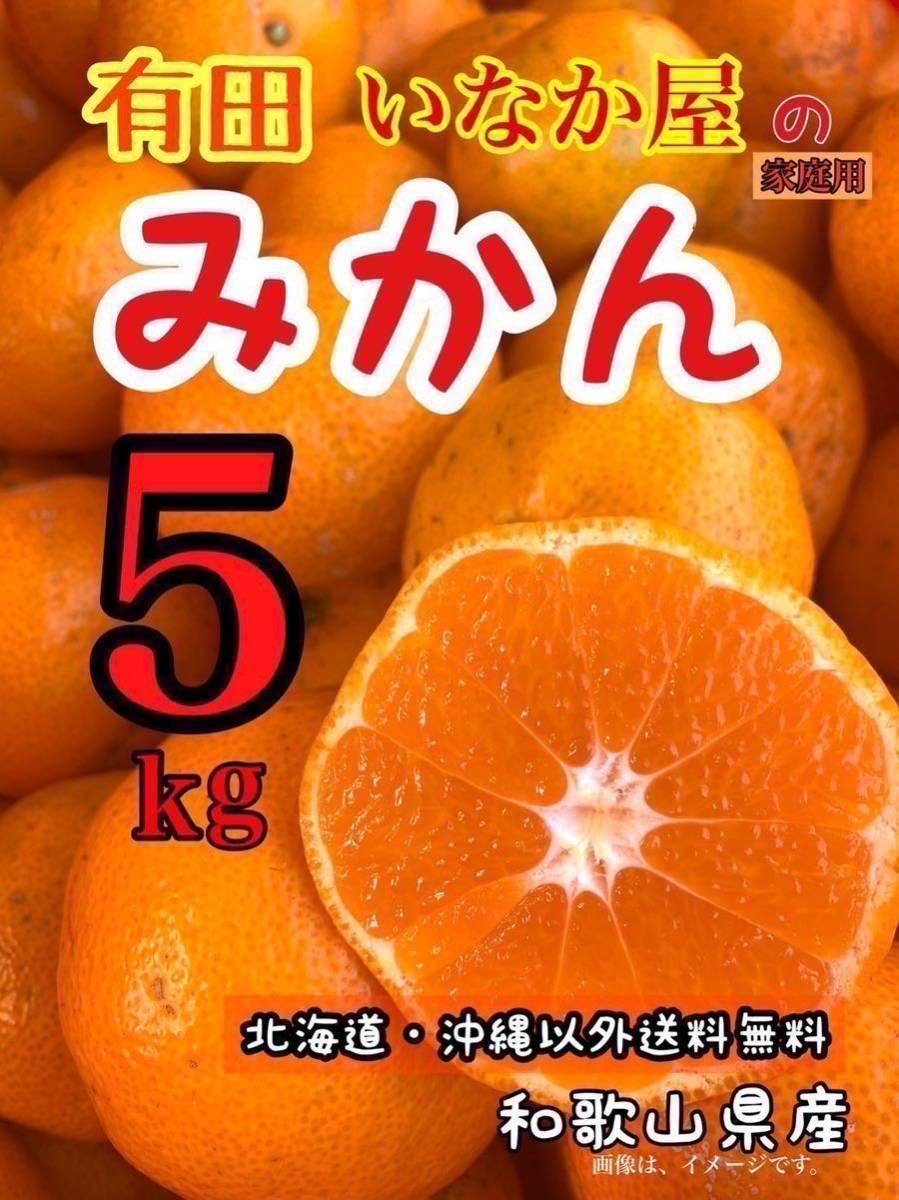 和歌山県産　有田　みかん　家庭用　数量限定　早い者勝ち　セール　特価価格　５キロ　5kg 特価セール　b品_画像1