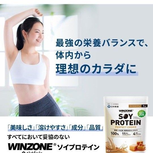 日本新薬 WINZONE ウィンゾーン ソイプロテイン プロテイン パーフェクトチョイス 1kg 筋トレ ダイエット ビタミン 