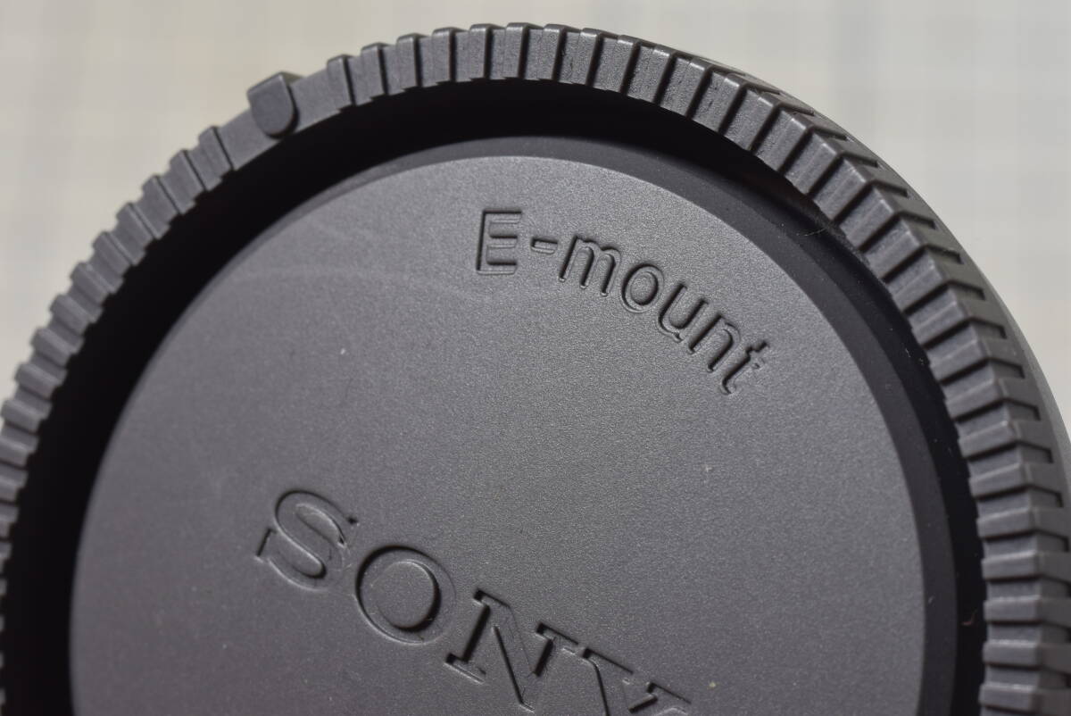 #132 SONY E mount after person cap 