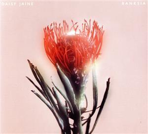 Ｂａｎｋｓｉａ／Ｄａｉｓｙ　Ｊａｉｎｅ_画像1