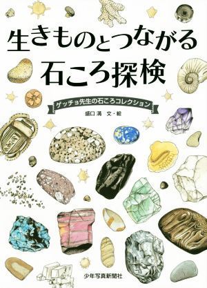 生きものとつながる石ころ探検 ゲッチョ先生の石ころコレクション／盛口満(著者)_画像1