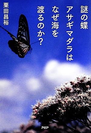 謎の蝶アサギマダラはなぜ海を渡るのか？／栗田昌裕【著】_画像1