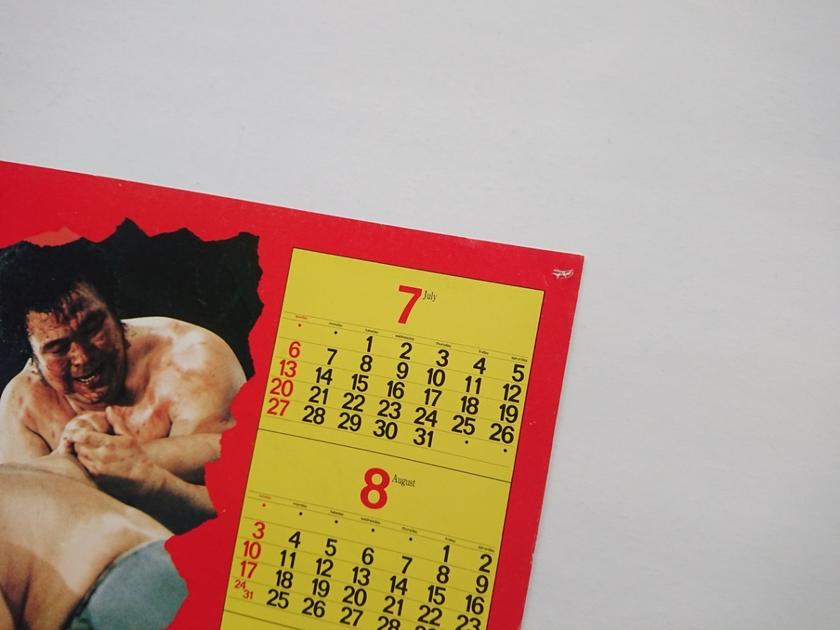 1979年国際プロレスパンフレットデビリッシュファイトシリーズ 半券 カレンダー付き/上田馬之助 ヤス・フジイ_画像5