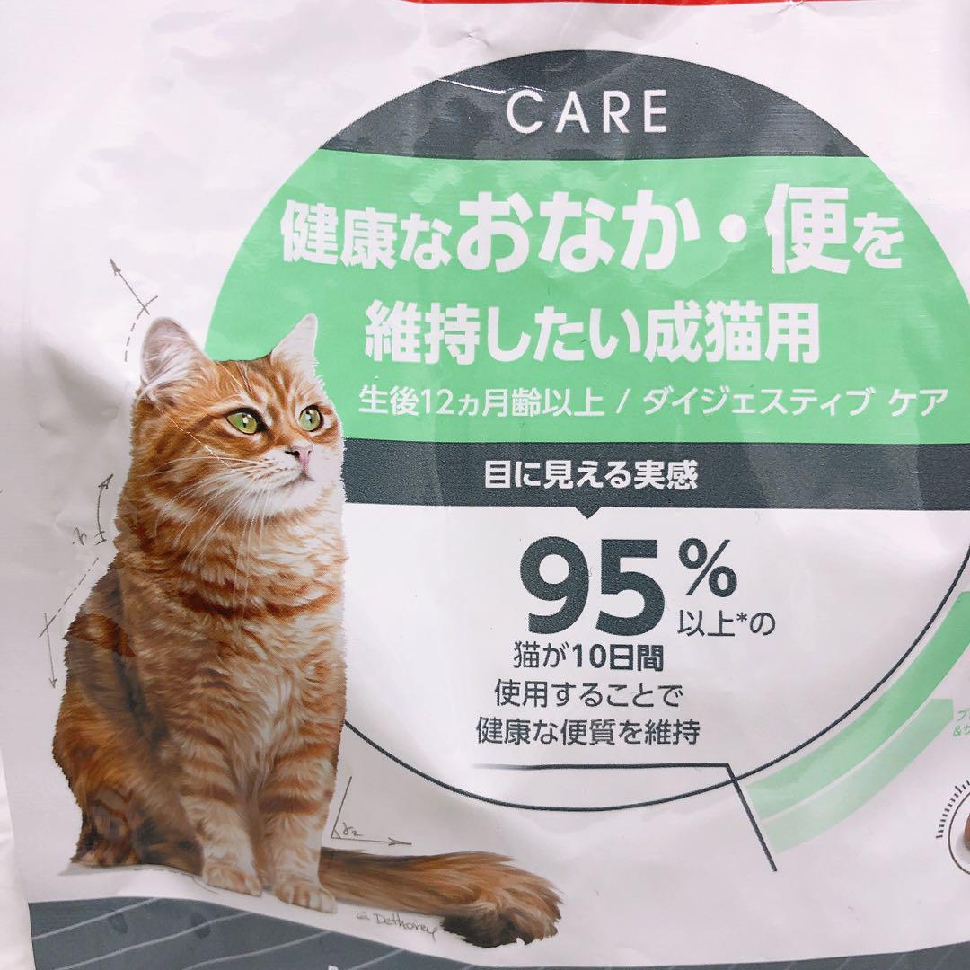 ロイヤルカナン　高タンパク　プロテイン　と　おなか健康　キャットフード　ねこ　ネコ　猫_画像5