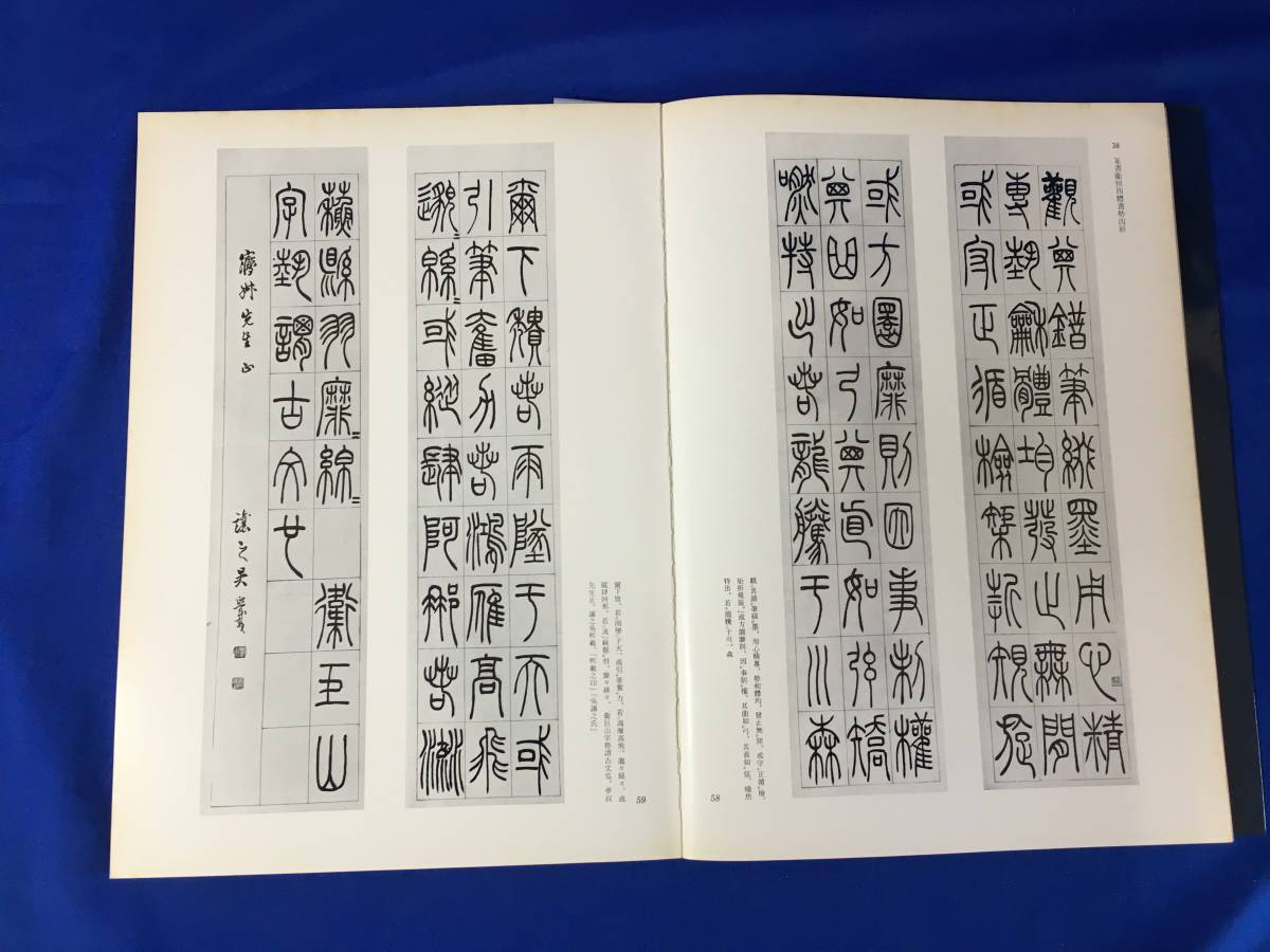 B448ア△非売品 「呉譲之の書画篆刻」 謙慎書道会 二玄社 1978年 刻印/印譜/中国_画像6