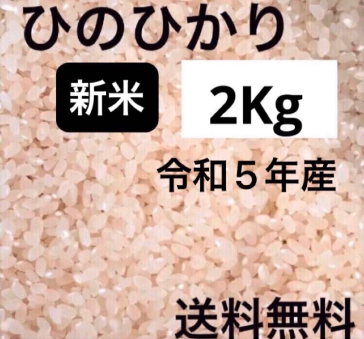 新米　ひのひかり 2kg 白米　令和5年　福岡県産　精米したて　 保冷庫保存　無選別