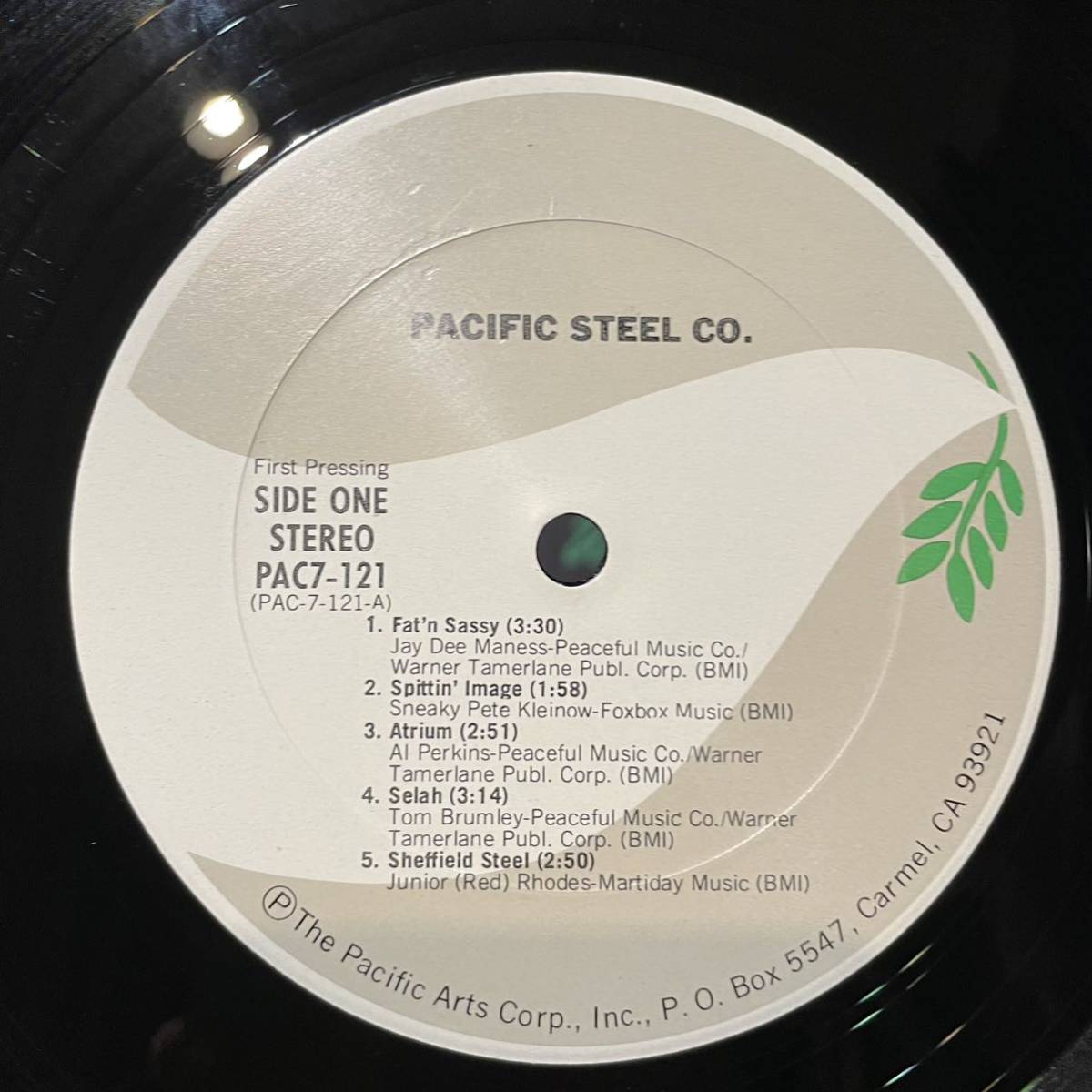 [US запись Org.]Pacific Steel Company Pacific Steel Company (1978) Pacific Arts PAC121 Jay Dee Maness, Sneaky Pete Kleinow, Al Perkins