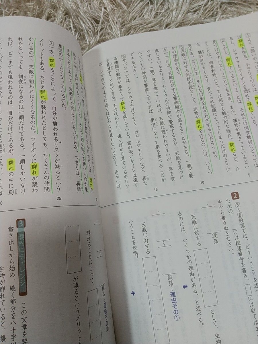 中学入試  小学問題集 コア 国語 小学5年 塾問題集