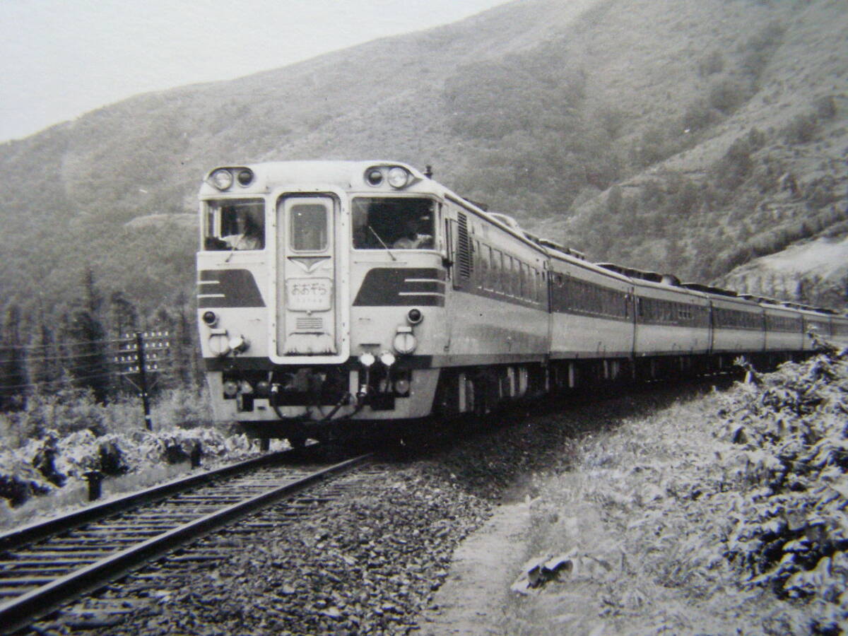 (J52)140 写真 古写真 電車 鉄道 鉄道写真おおぞら 昭和39年8月12日_画像2