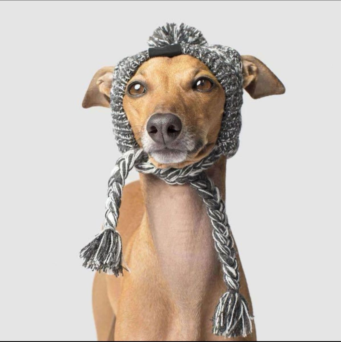 犬猫　犬服　猫服　ニット帽　Mサイズ　ニットキャップ　暖か　ふかふか　寒さ対策　ペット帽子　誕生日　プレゼント　アウトドア　災害